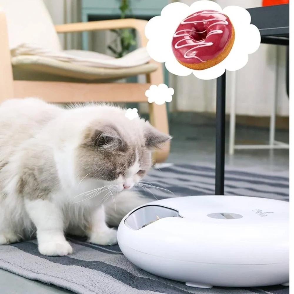 NIB! Ipettie 6 Meal Automatic Pet Feeder White